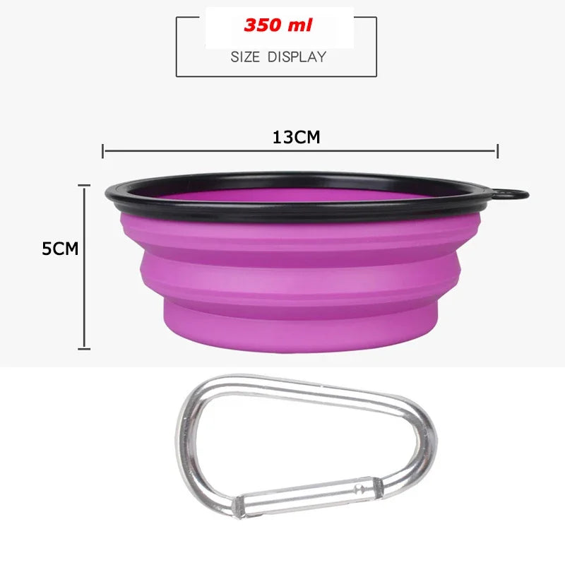 Food And Water Silicone Bowl